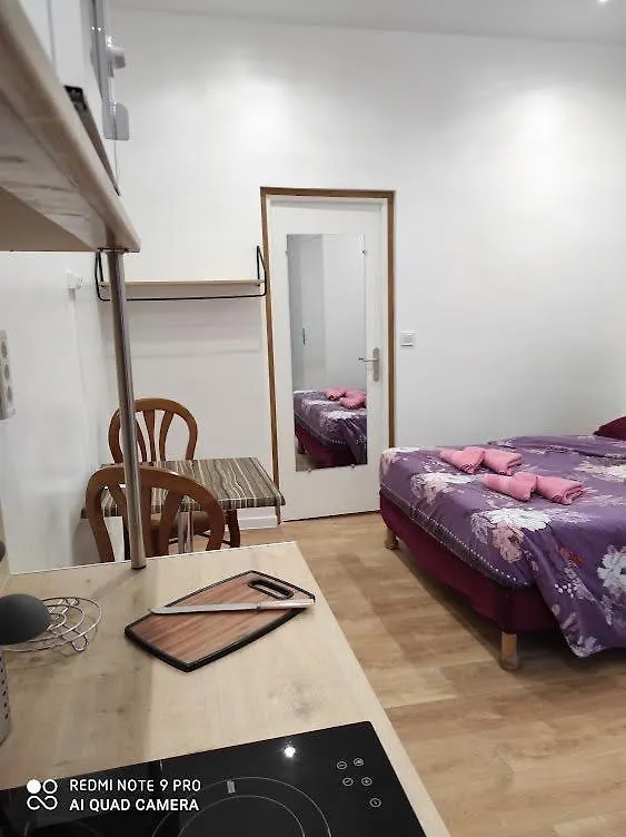 Hotel Lyonnais Niza Hostal